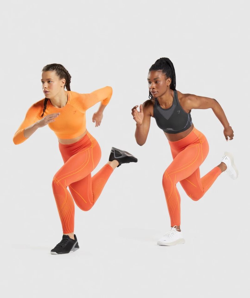 Women's Gymshark Apex Seamless High Rise Leggings Orange | NZ 7WIEVM